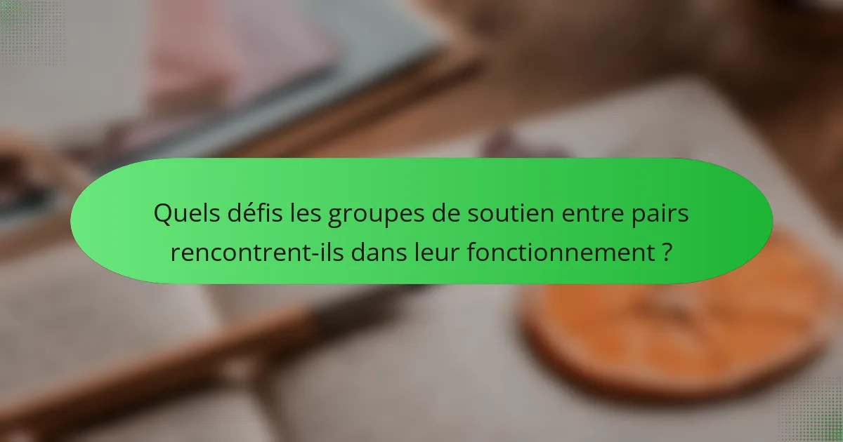 Quels défis les groupes de soutien entre pairs rencontrent-ils dans leur fonctionnement ?
