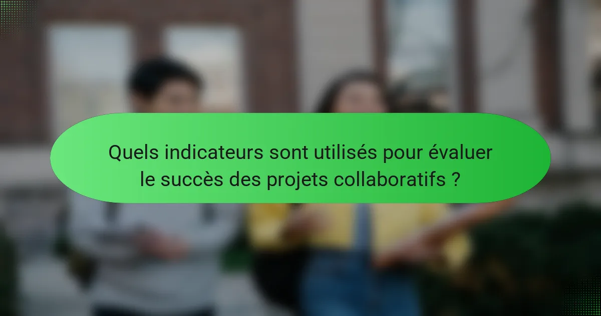 Quels indicateurs sont utilisés pour évaluer le succès des projets collaboratifs ?